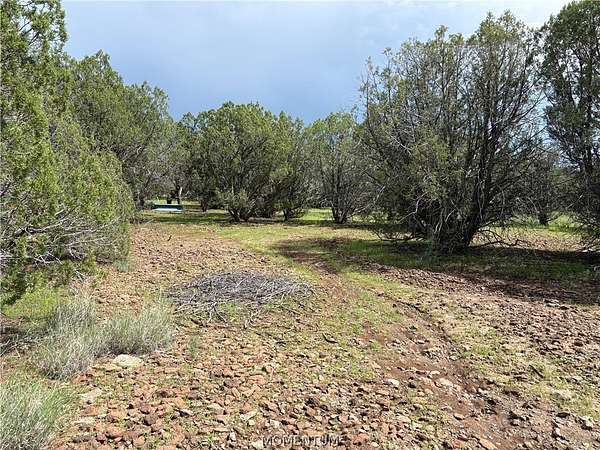 37.2 Acres of Land for Sale in Seligman, Arizona