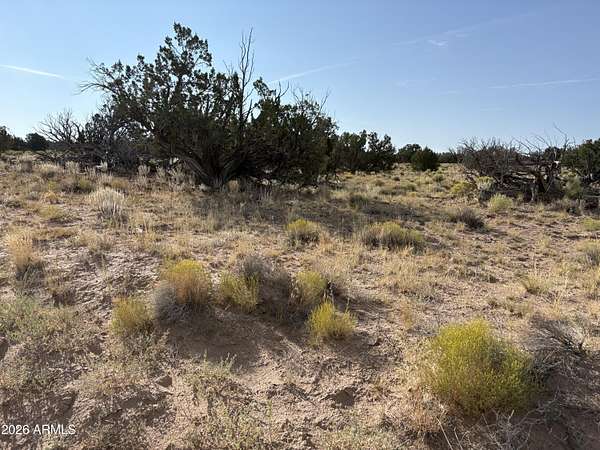 36.3 Acres of Recreational Land for Sale in St. Johns, Arizona