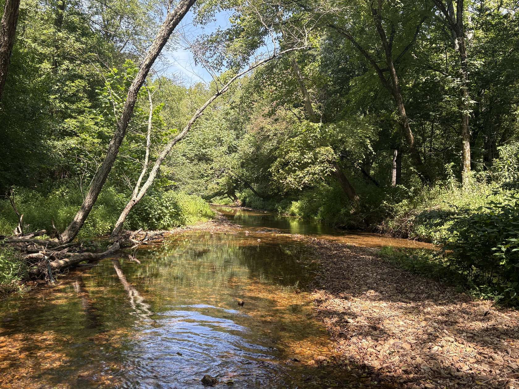 64.8 Acres of Agricultural Land with Home for Sale in Waverly, Tennessee