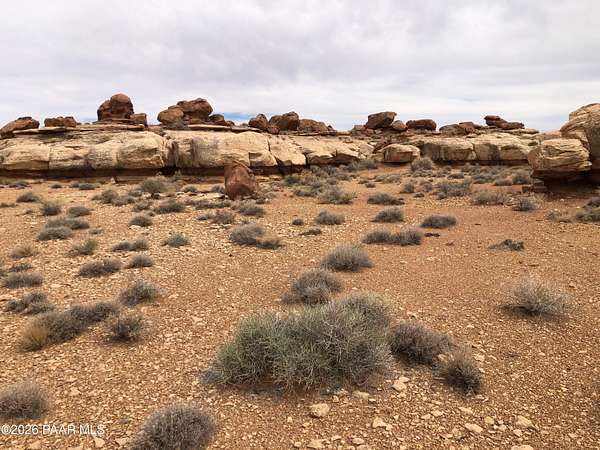79 Acres of Recreational & Residential Land for Sale in Winslow, Arizona