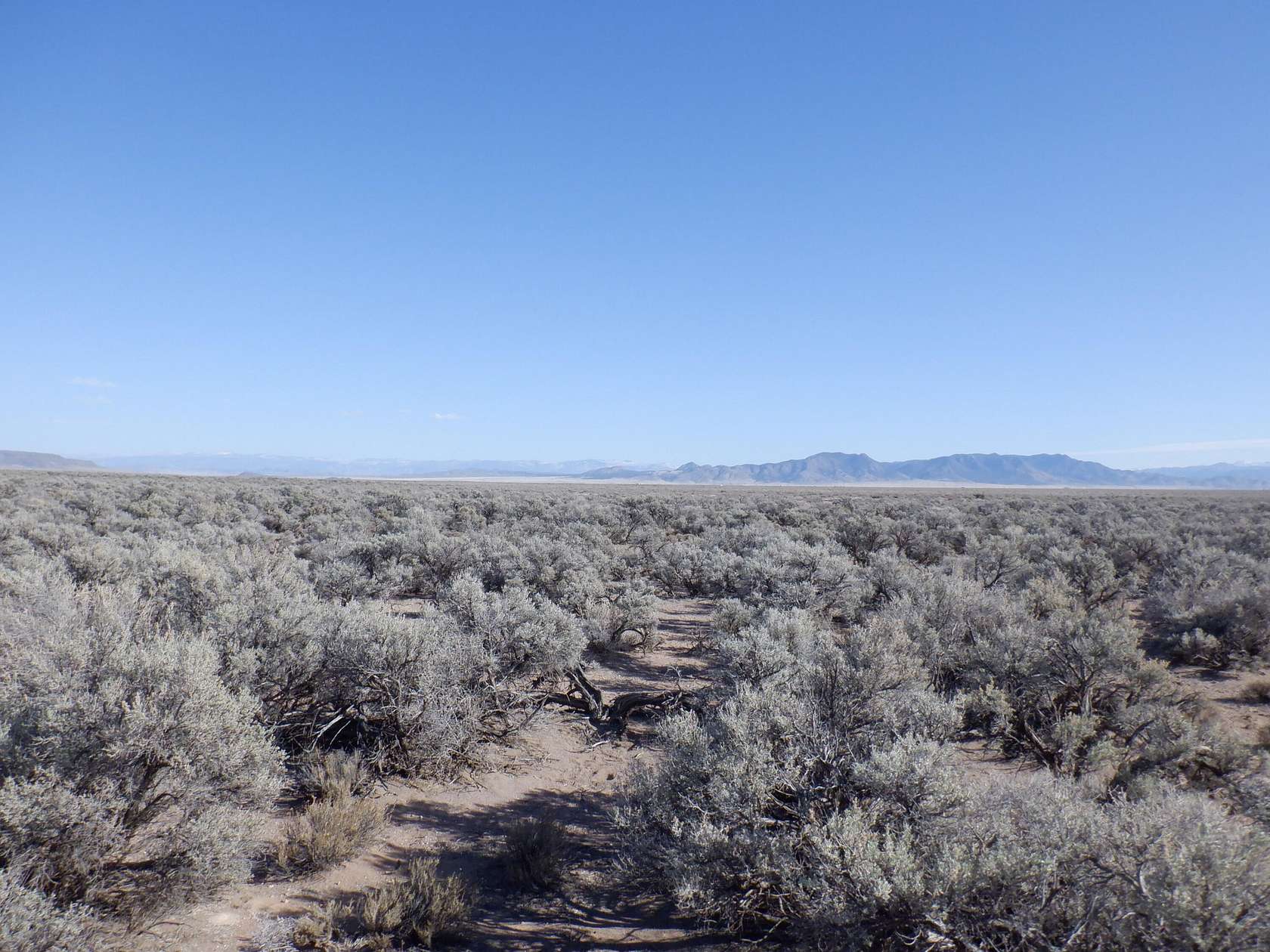 160 Acres of Land for Sale in Beryl, Utah
