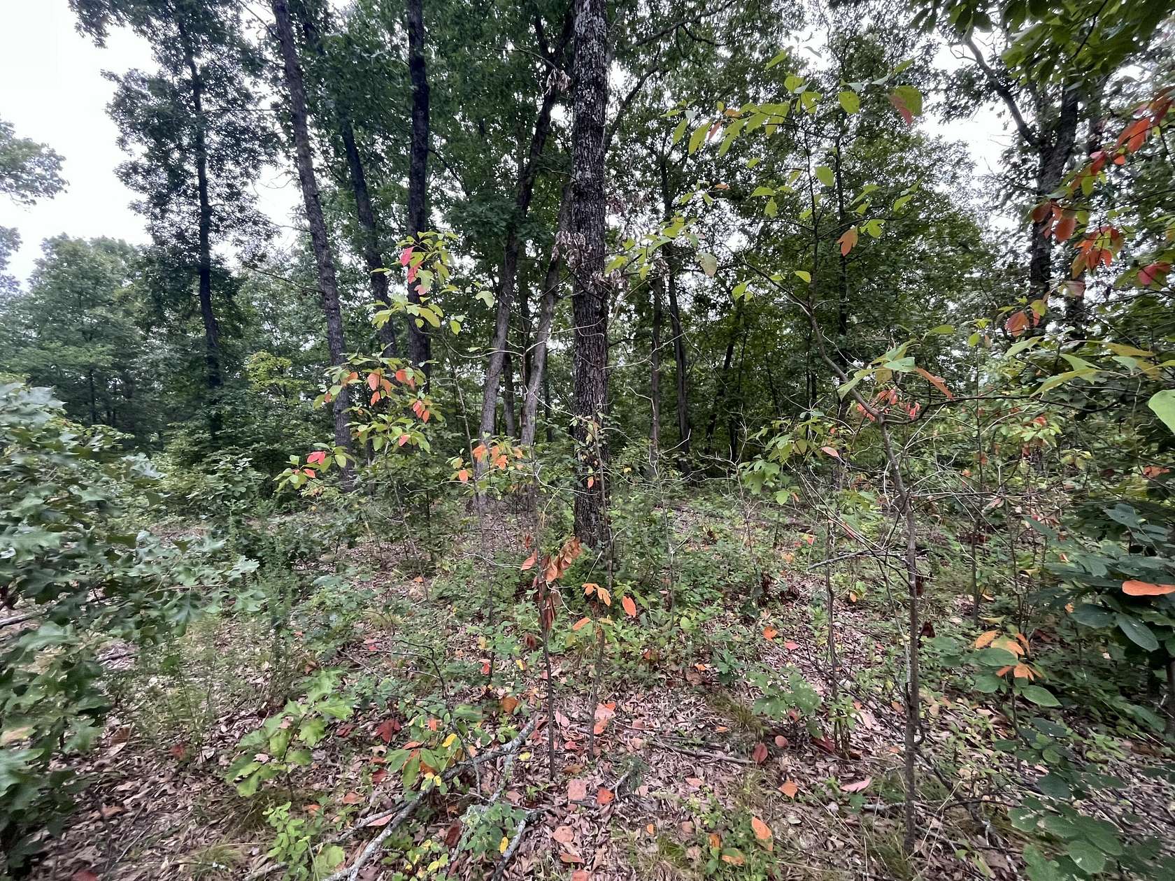 12 Acres of Recreational & Residential Land for Sale in Climax Springs, Missouri
