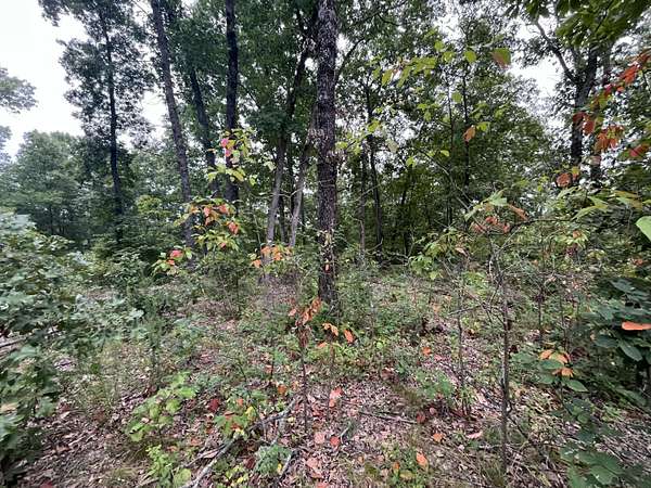 12 Acres of Recreational & Residential Land for Sale in Climax Springs, Missouri