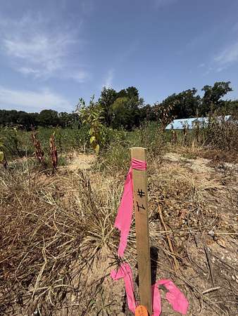 0.28 Acres of Residential Land for Sale in Seligman, Missouri