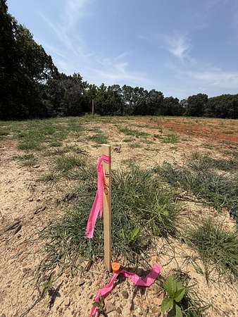 0.42 Acres of Residential Land for Sale in Seligman, Missouri