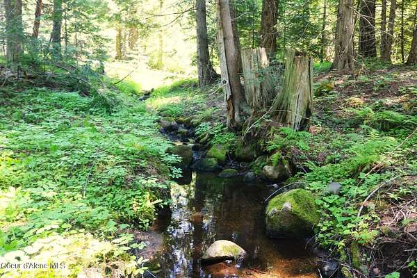 15 Acres of Recreational & Residential Land for Sale in Sandpoint, Idaho
