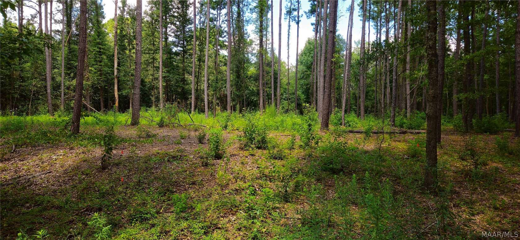 3.24 Acres of Land for Sale in Montgomery, Alabama