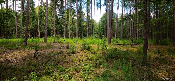 3.24 Acres of Land for Sale in Montgomery, Alabama