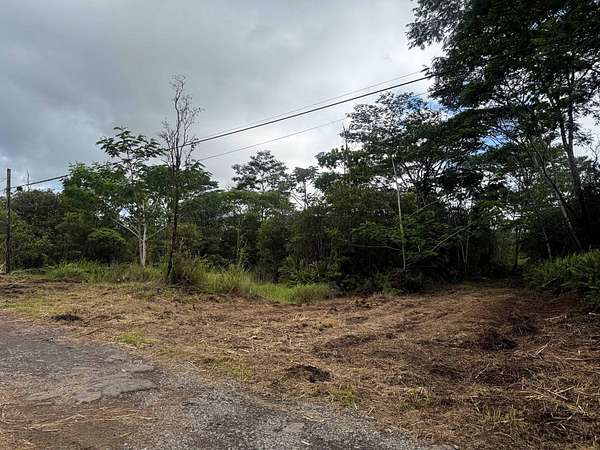 3 Acres of Residential Land for Sale in Keaau, Hawaii