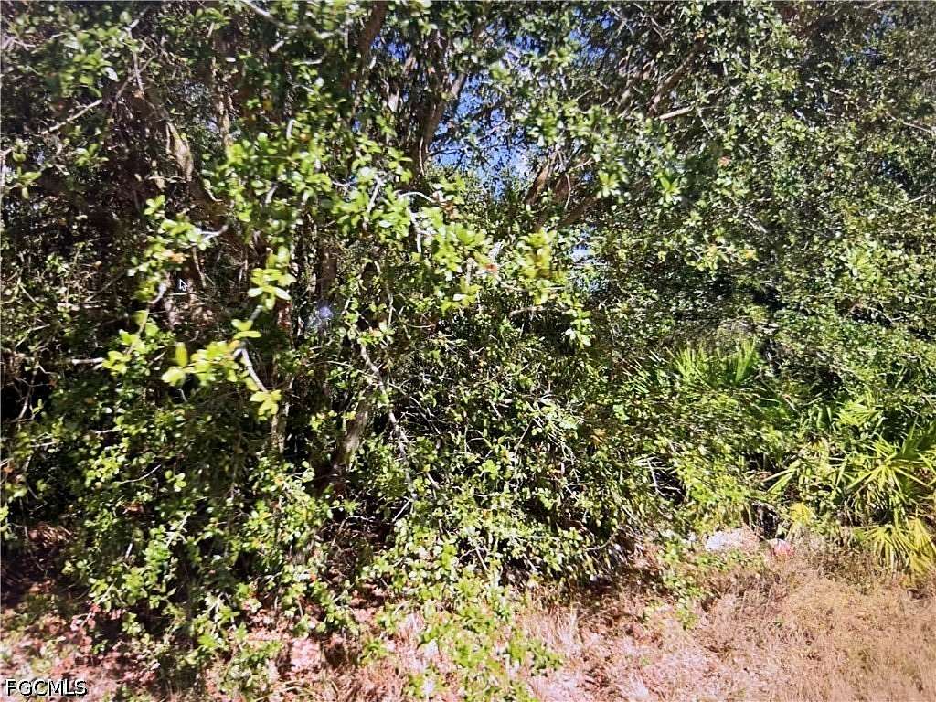 0.25 Acres of Residential Land for Sale in Lehigh Acres, Florida