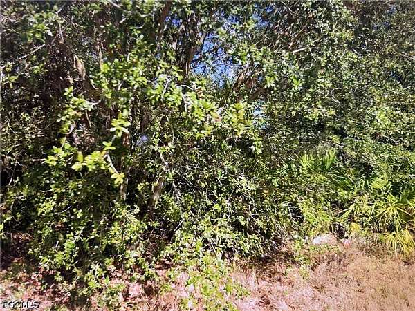 0.25 Acres of Residential Land for Sale in Lehigh Acres, Florida