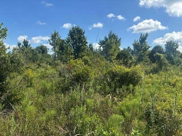 2.5 Acres of Land for Sale in Okeechobee, Florida