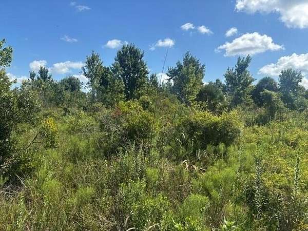 2.5 Acres of Land for Sale in Okeechobee, Florida