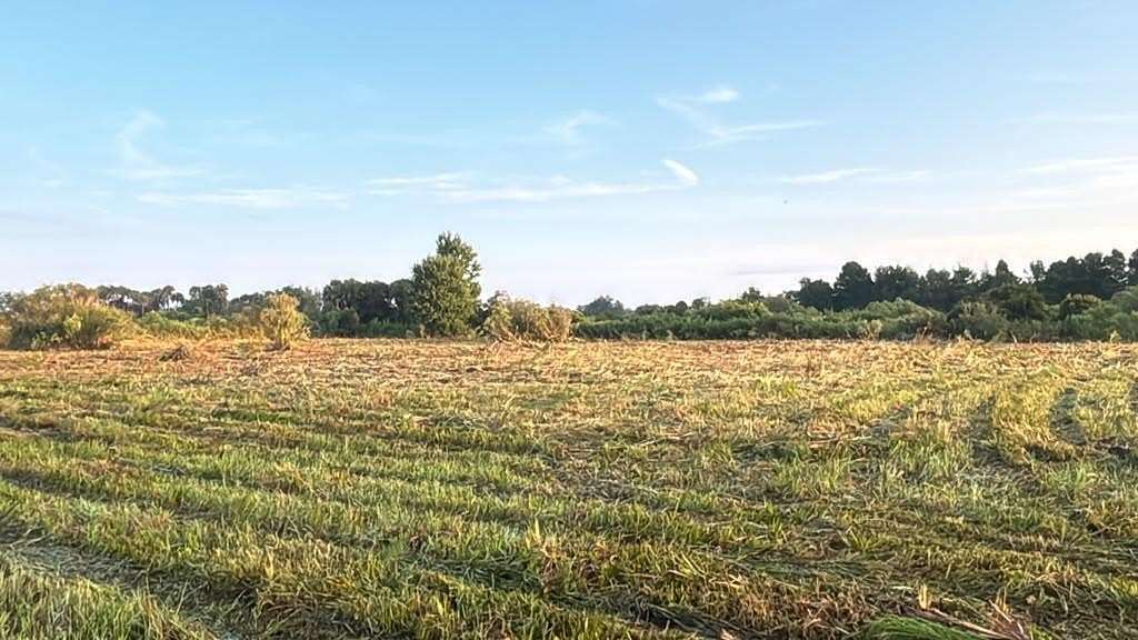 1.5 Acres of Residential Land for Sale in Okeechobee, Florida