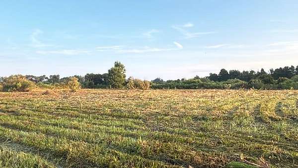 1.5 Acres of Residential Land for Sale in Okeechobee, Florida
