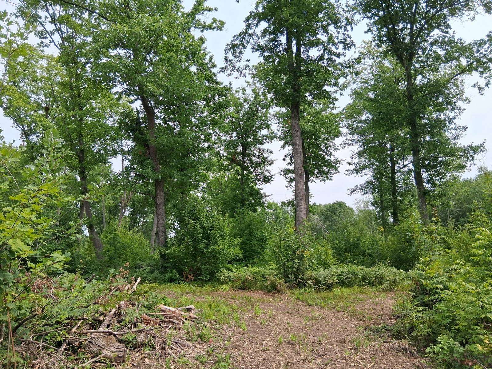 10.2 Acres of Recreational Land for Sale in Danbury, Wisconsin