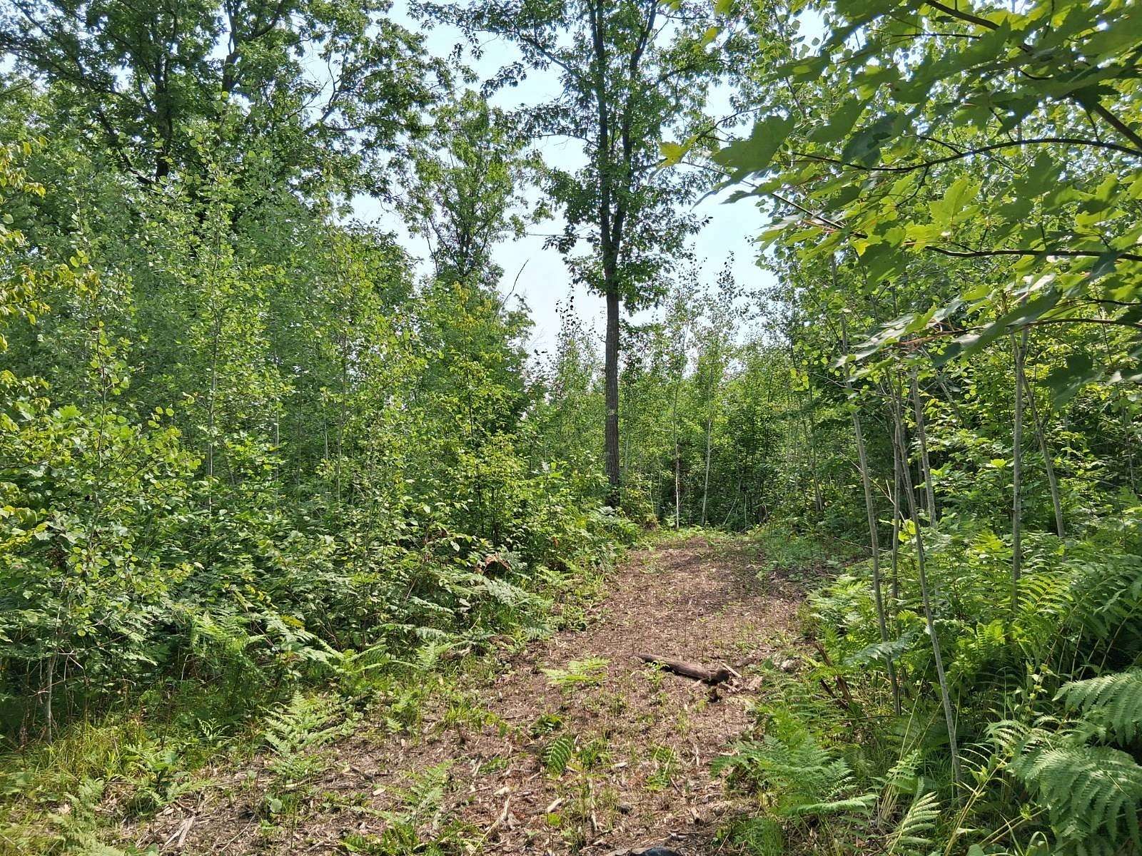 8.44 Acres of Land for Sale in Danbury, Wisconsin