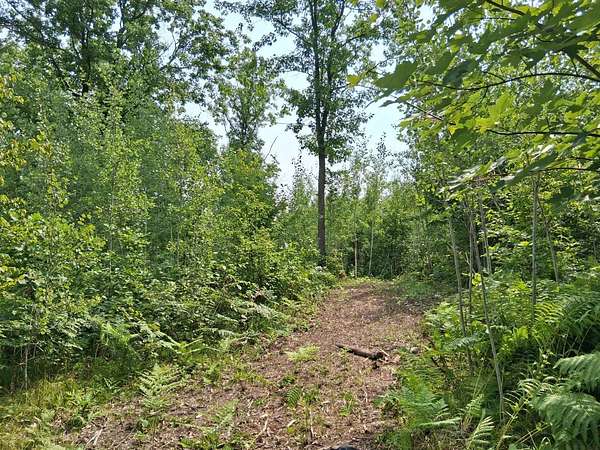 8.44 Acres of Land for Sale in Danbury, Wisconsin