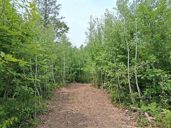 10.1 Acres of Recreational Land for Sale in Danbury, Wisconsin