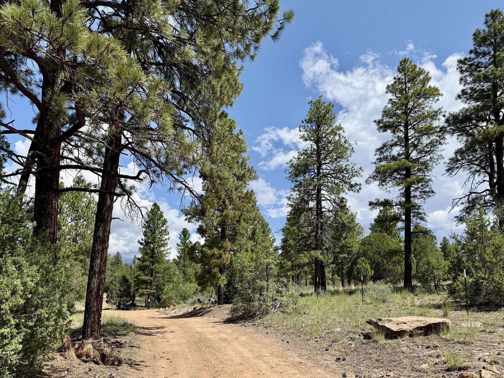 20 Acres of Recreational & Residential Land for Sale in Ramah, New Mexico