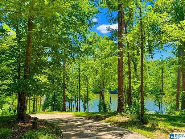 10.2 Acres of Land with Home for Sale in Shelby, Alabama