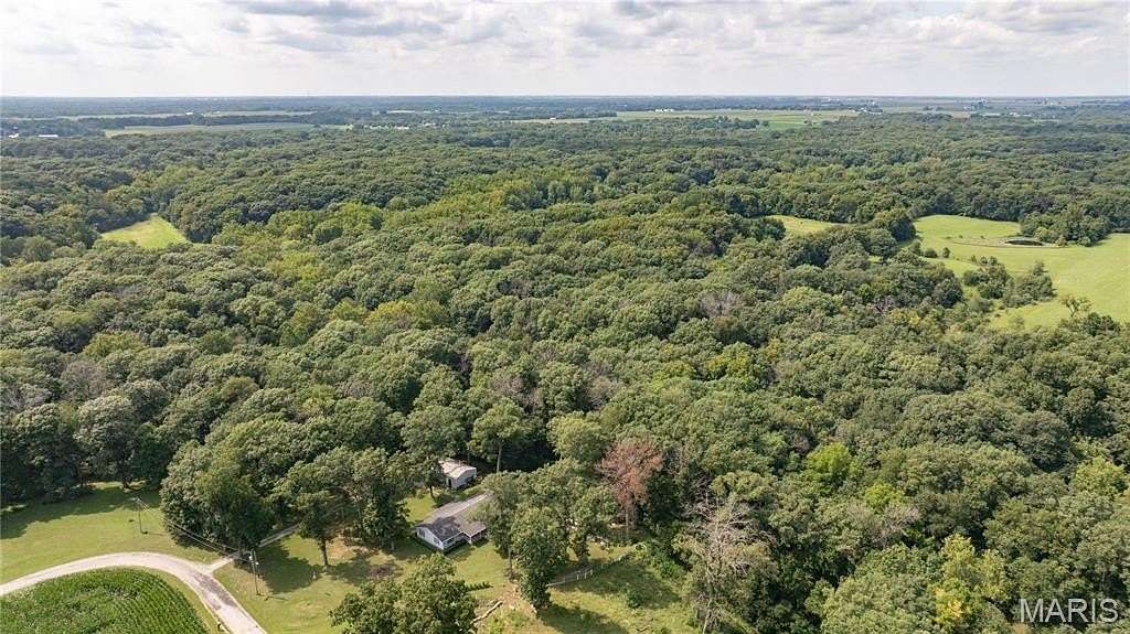 65 Acres of Land for Sale in Bunker Hill, Illinois