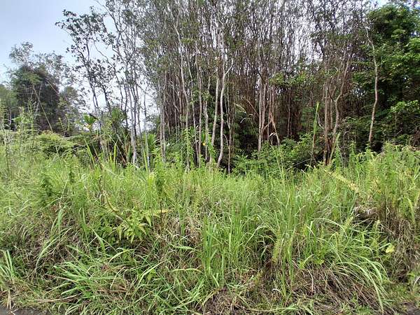 0.28 Acres of Residential Land for Sale in Mountain View, Hawaii