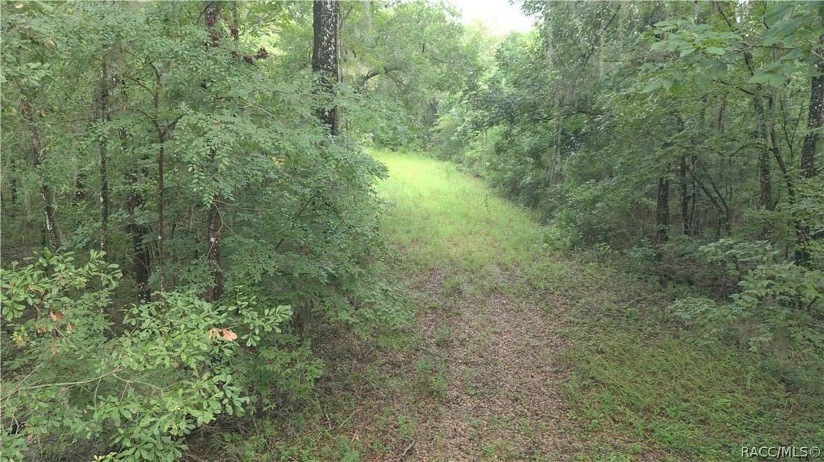 0.48 Acres of Residential Land for Sale in Weeki Wachee, Florida