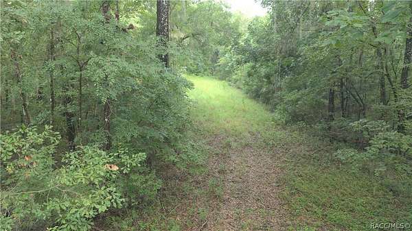 0.48 Acres of Residential Land for Sale in Weeki Wachee, Florida
