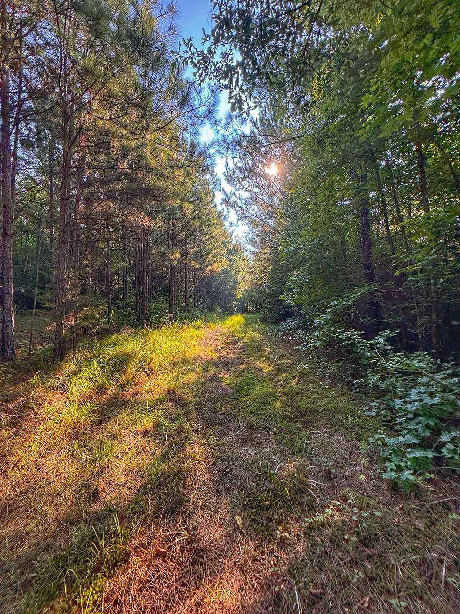 56 Acres of Land for Sale in Hamilton, Alabama