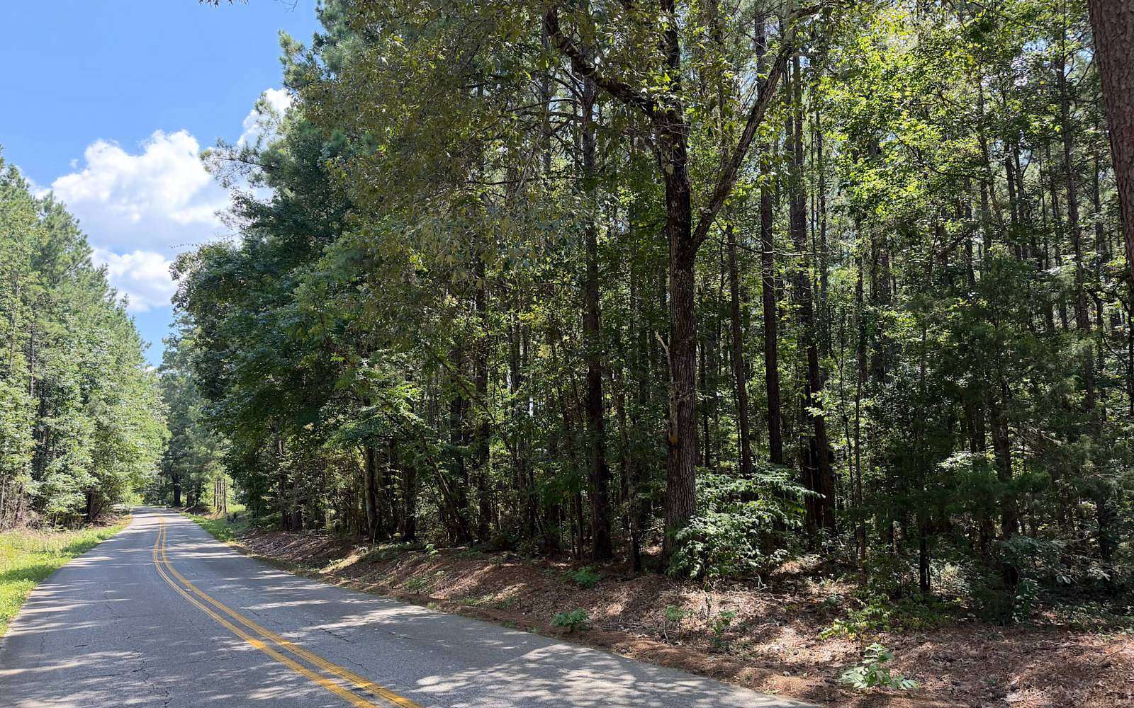 43.4 Acres of Land for Sale in Turkey Creek, Louisiana
