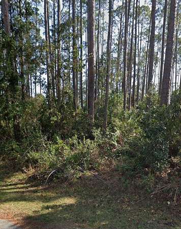 0.46 Acres of Residential Land for Sale in Palm Coast, Florida