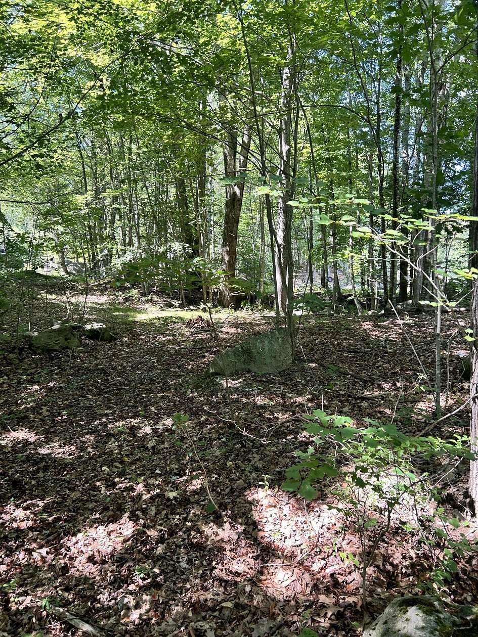 0.3 Acres of Land for Sale in Lyman Town, Maine