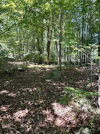 0.3 Acres of Land for Sale in Lyman Town, Maine