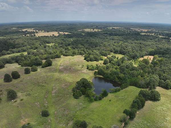 159 Acres of Land for Sale in Hugo, Oklahoma