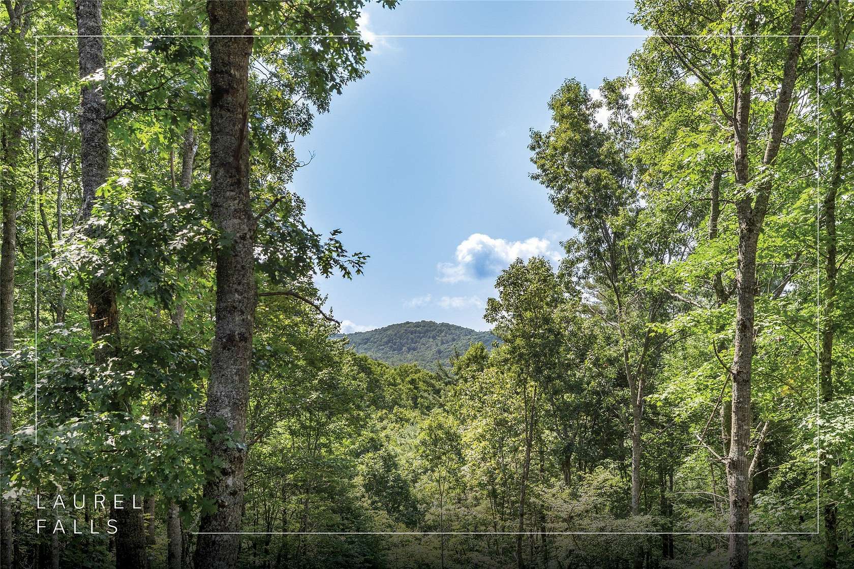 3.28 Acres of Land with Home for Sale in Glenville, North Carolina