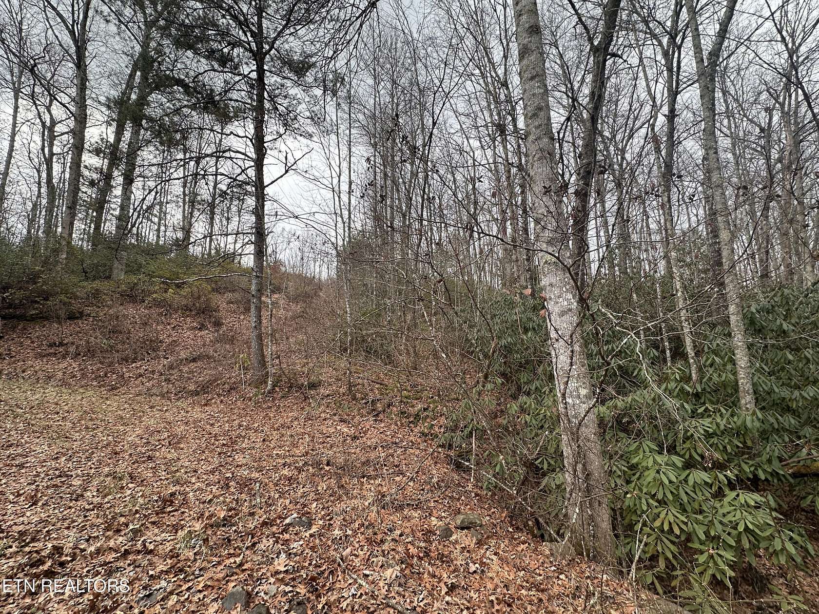 3.82 Acres of Land for Sale in Jamestown, Tennessee
