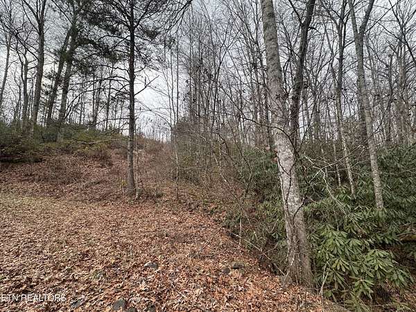 3.82 Acres of Land for Sale in Jamestown, Tennessee