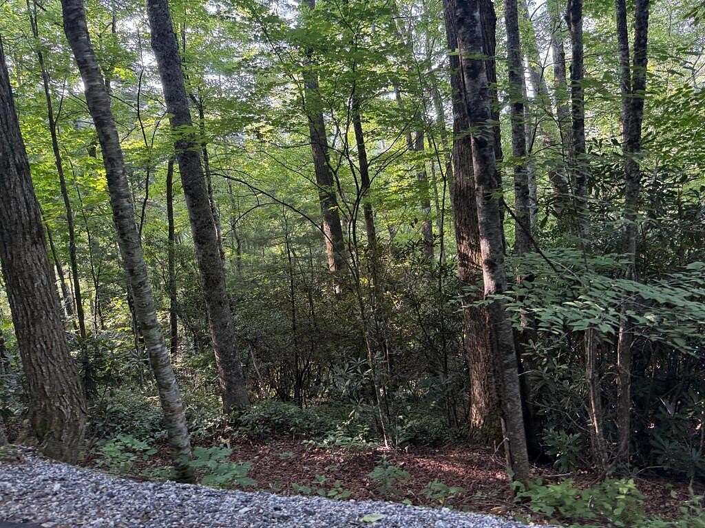 3 Acres of Residential Land for Sale in Cashiers, North Carolina