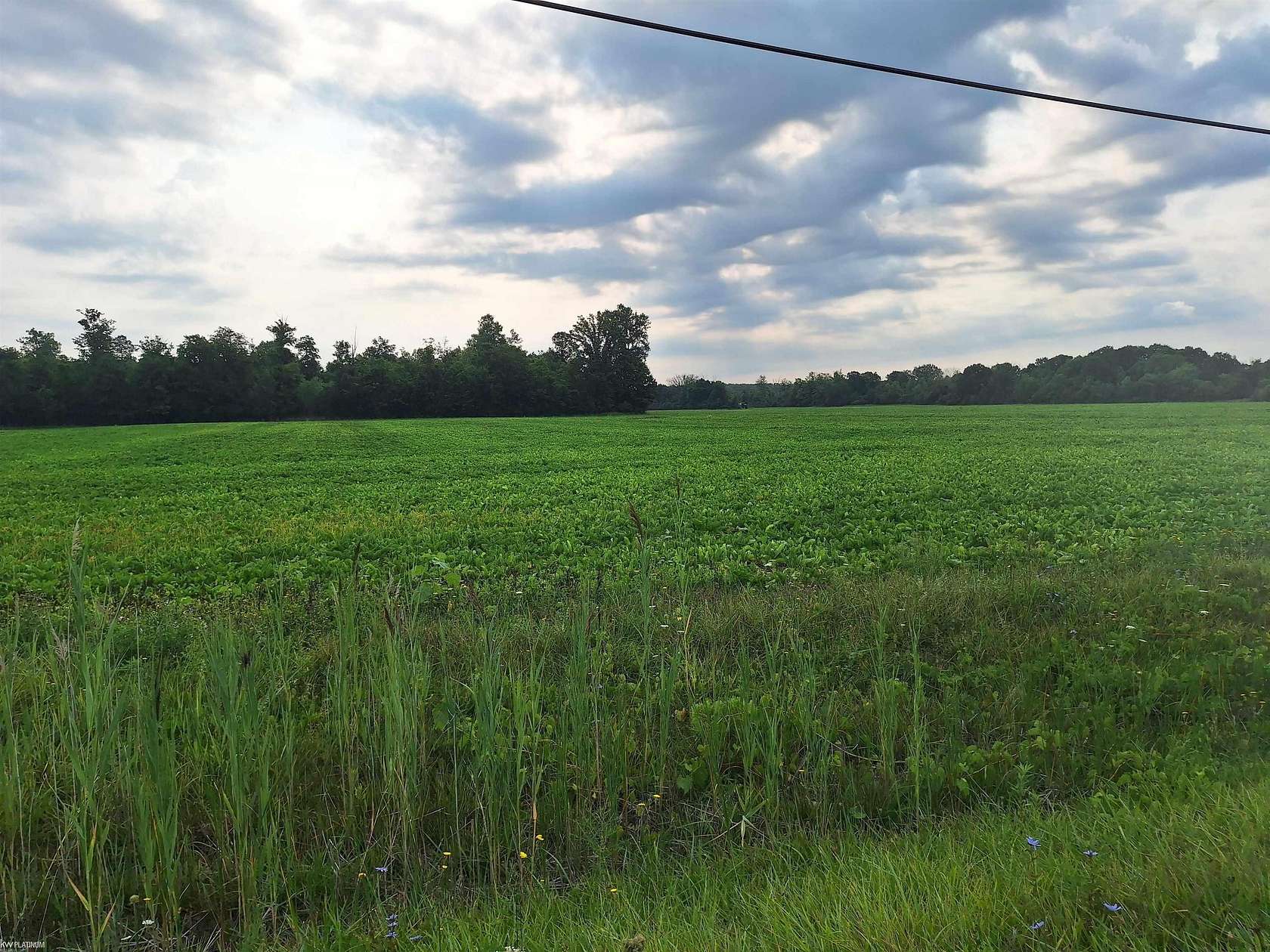 156 Acres of Agricultural Land for Sale in Clyde Township, Michigan