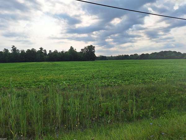 156 Acres of Agricultural Land for Sale in Clyde Township, Michigan