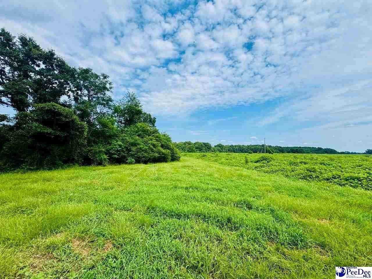 9 Acres of Residential Land for Sale in McColl, South Carolina