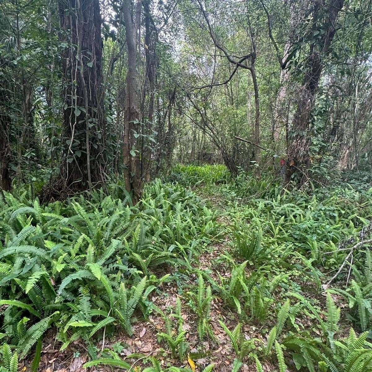 0.63 Acres of Residential Land for Sale in Sanford, Florida