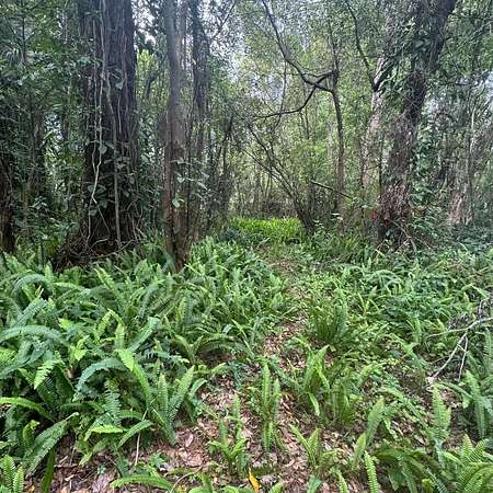 0.63 Acres of Residential Land for Sale in Sanford, Florida