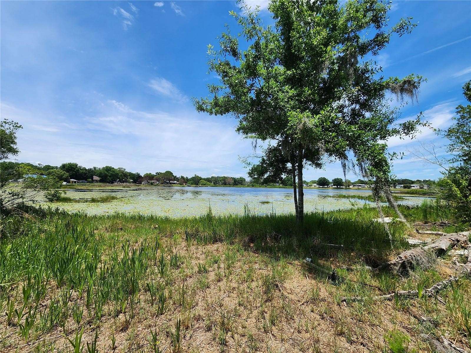 1 Acre of Residential Land for Sale in Winter Garden, Florida