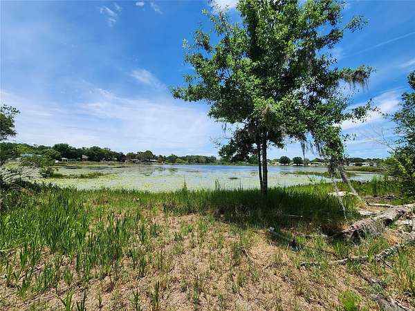 1 Acre of Residential Land for Sale in Winter Garden, Florida