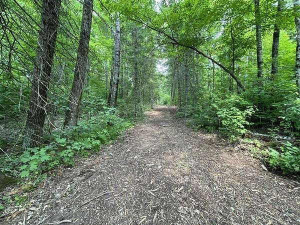 40 Acres of Recreational Land for Sale in Hayward, Wisconsin