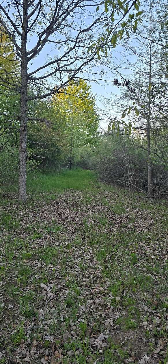 18.3 Acres of Recreational & Residential Land for Sale in Brant, Michigan