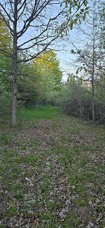 18.3 Acres of Recreational & Residential Land for Sale in Brant, Michigan