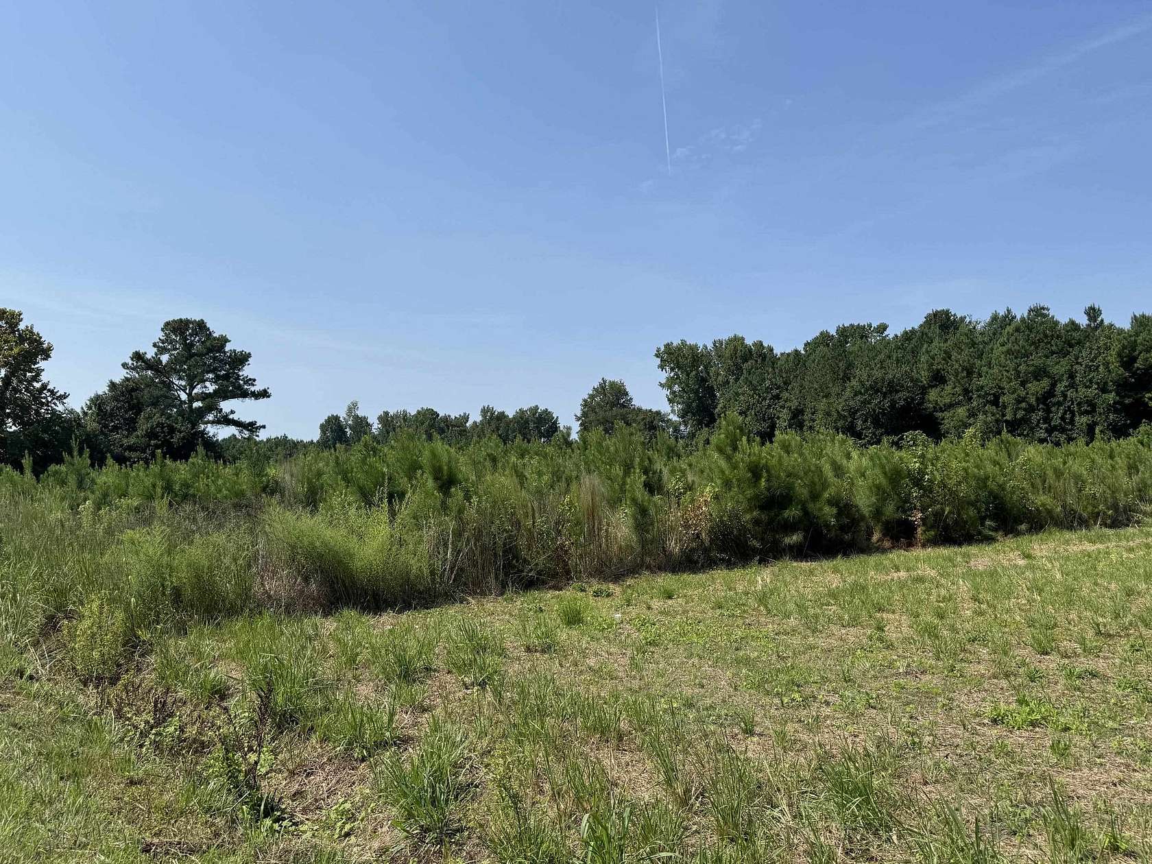 2.5 Acres of Residential Land for Sale in Nichols, South Carolina